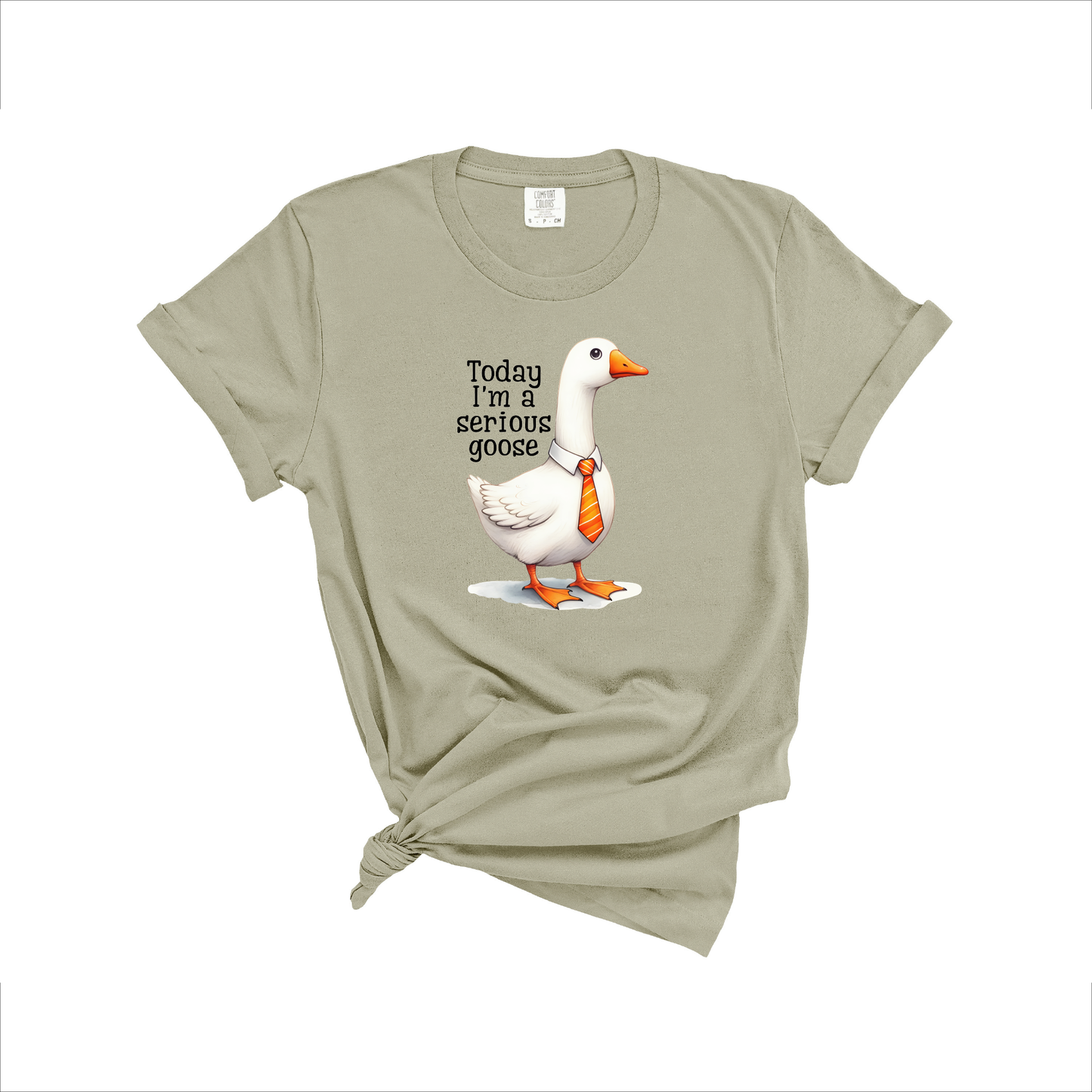 Serious Goose T-Shirt
