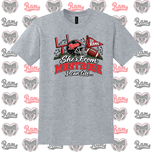 She's From Montrose I Can Tell T-Shirt