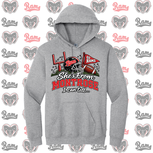 She's From Montrose I Can Tell Long Hooded Sweatshirt